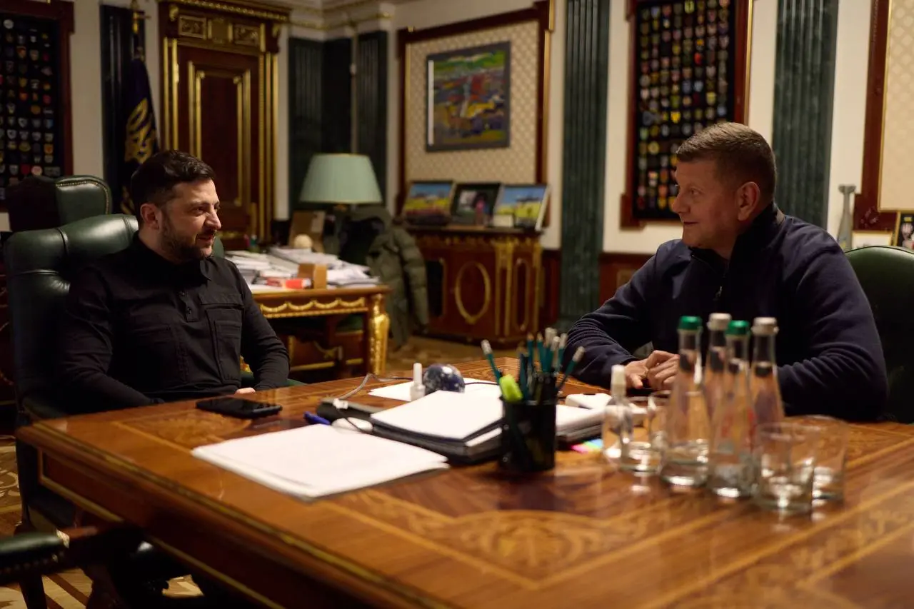 ЗАЛУЖНЫЙ ПРИЛЕТЕЛ В КИЕВ, ГДЕ ЕГО ПРИНЯЛ ЗЕЛЕНСКИЙ