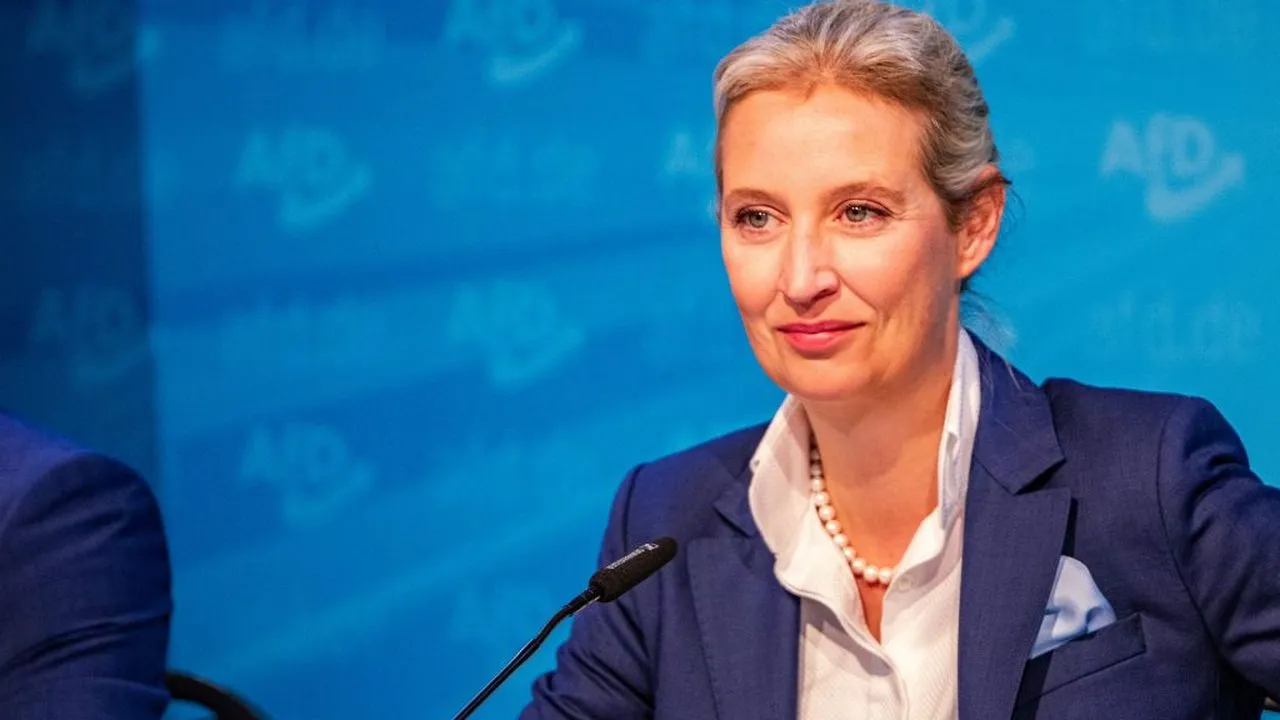ЛИДЕР АДГ ВАЙДЕЛЬ : УКРАИНА УЖЕ ПРОИГРАЛА, ГЕРМАНИИ ПОРА ЭТО ПОНЯТЬ