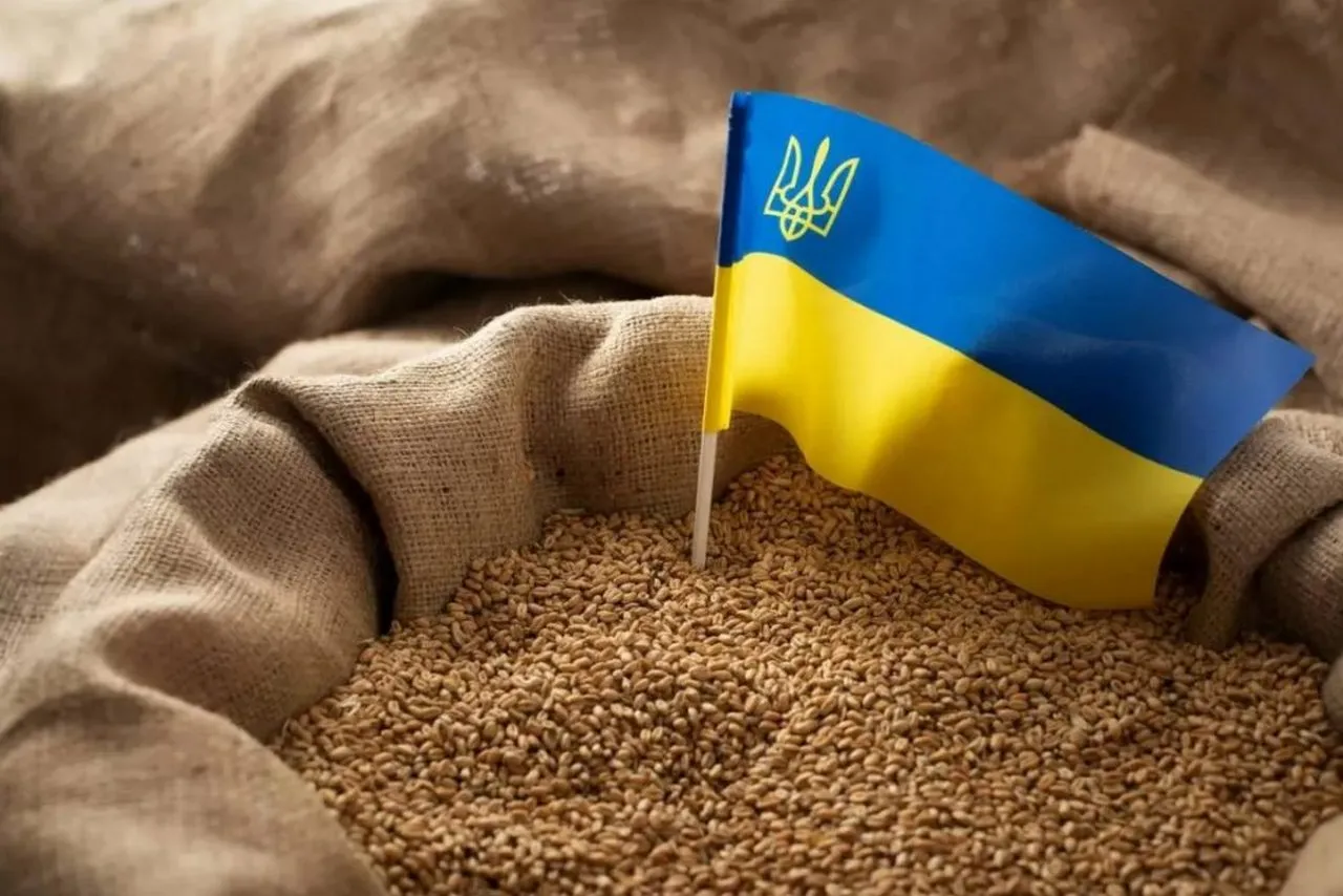 КИЕВУ НЕ УДАЛОСЬ УВЕЛИЧИТЬ ТРАНЗИТ ЗЕРНА ЧЕРЕЗ ПОЛЬШУ И РУМЫНИЮ